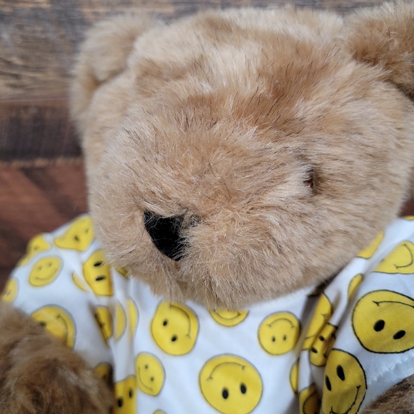 Vermont Teddy Bear Get Well - Picture 8 of 11